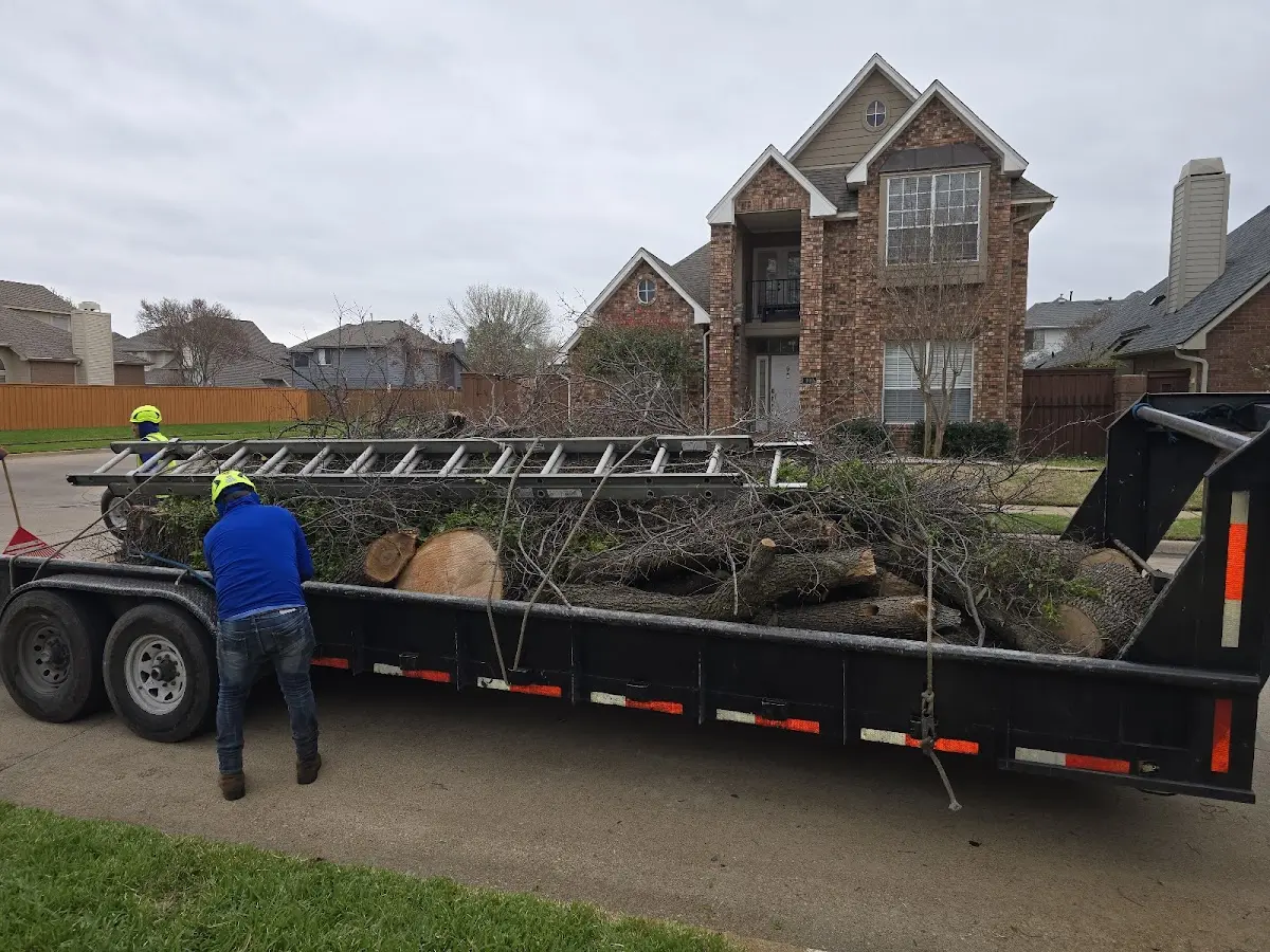 Expert Tree Fertilization with proper safety equipment in Woodworth